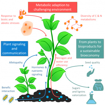 Biomasse, Environnement, Adaptation et Métabolisme