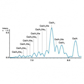 Glycans and Signaling