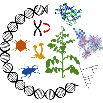 Analyse Génomique des Interactions Plantes-Parasites