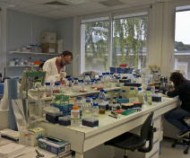 one of our laboratories – Vivi et Mika at the bench