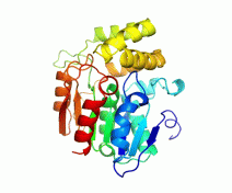 Structure of RMS3 protein based on homology modeling