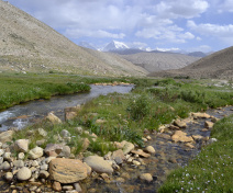 Field work in Tajikistan