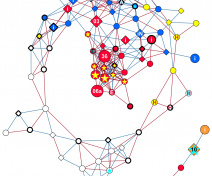 Gene co-expression network (Cuello et al, 2019).