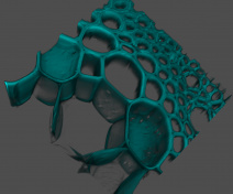 3D reconstruction of interfascicular fibers