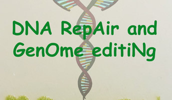 DNA repair and genome engineering