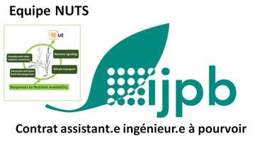 Un Contrat d’assistant.e ingénieur.e dans le domaine biocontrôle /biostimulation