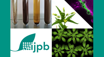 Trois postes INRAE (H/F) en recherche ouverts à la mobilité à l'IJPB : Technicien de recherche, Assistant Ingénieur, Ingénieur de recherche