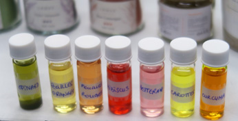 Art et science : le projet "Les racines de la couleur"