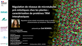 Soutenance de thèse : Zoé Bomsel