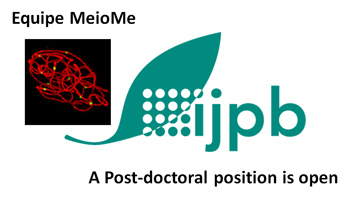 A Post-Doctoral position in Meiotic Recombination in plants