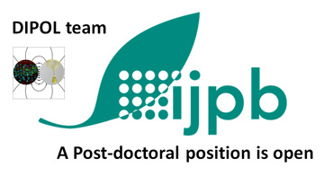 Post-doctoral position in Gene editing and agroecology
