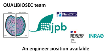 An engineer position in plant biology