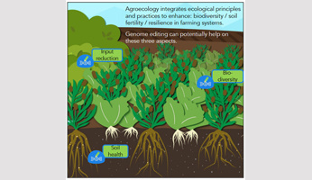 Can genome editing help transitioning to agroecology?