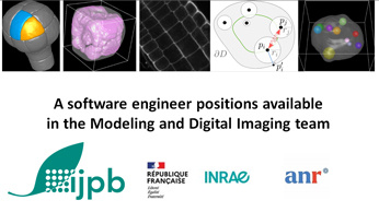 Job offer for a position in software engineer in bioimage analysis (H/F)