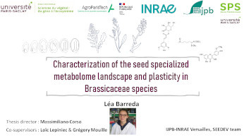 Thesis defense: Léa Barreda