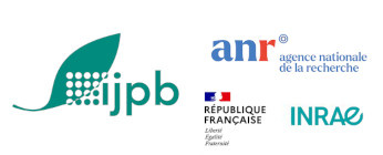 Seven new ANR projects at the IJPB