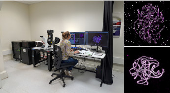 Arrival of a STED high-resolution microscope on the Cytology/Imaging Platform of the IJPB  Plant Observatory