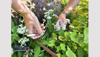 L'IJPB, invité spécial du Potager du Roi à l'occasion des Journées nationales de l'agriculture 2025