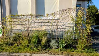 PHYTOCLIM: an IJPB project for “social and environmental responsibility” INRAE RSE