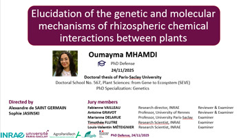 Thesis defense: Oumayma Mhamdi