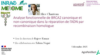 Thesis defense: Alice Chanteau