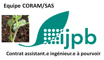 Un contrat d’assistant.e ingénieur.e en biochimie : étude des récepteurs de strigolactones chez l’orobanche du tournesol