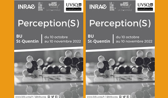 Art and Science: "Perception(s) of research" exhibition starts traveling!