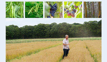 PEPR Advanced Plant Breeding - 2 flagships and 1 decentralised infrastructure managed by the IJPB