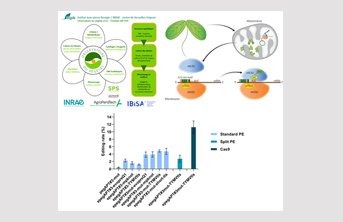 IJPB Highlights from Life Sciences at Paris-Saclay University