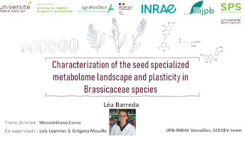 Thesis defense: Léa Barreda