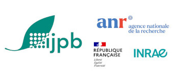 Six nouveaux projets ANR à l'IJPB