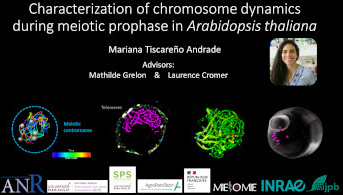 Thesis defense: Mariana Tiscareño-Andrade