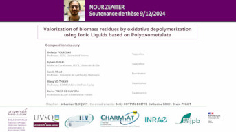 Thesis defense: Nour Zeaiter