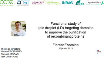Soutenance de thèse : Florent Fontaine