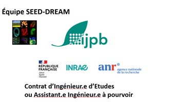 Job offer for an Engineer or Assistant Engineer  Position (F/M)