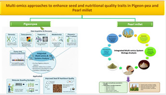 Seminar Dr Nisha Singh