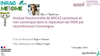 Soutenance de thèse : Alice Chanteau