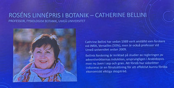 Catherine Bellini, lauréate du Prix Rosén Linné de Botanique 2025