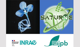 Two research scientist positions on job profiles (CRCN) offered in the INRAE 2026 open competition at the IJPB