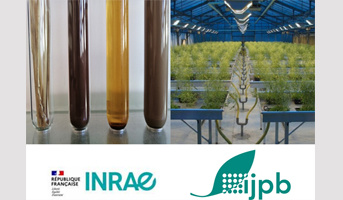 Deux postes de techniciens ouverts à l'IJPB au concours INRAE 2026  (H/F)