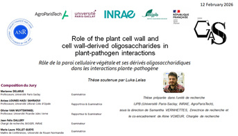 Thesis defense:  Luka Lelas
