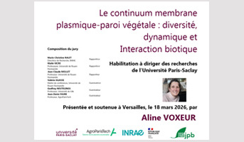 HDR defense: Aline Voxeur