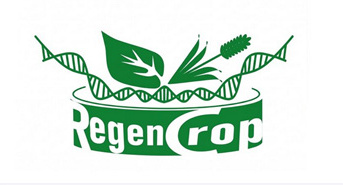 Réunion annuelle du réseau RegenCrop