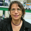 Hayat Bouteau