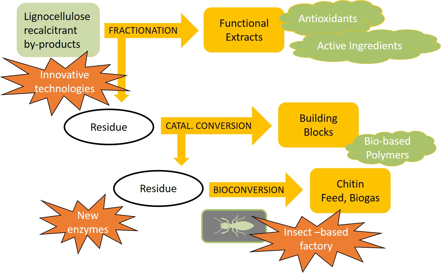 Cascading valorisation of biorefinery by-products (Zelcor project)