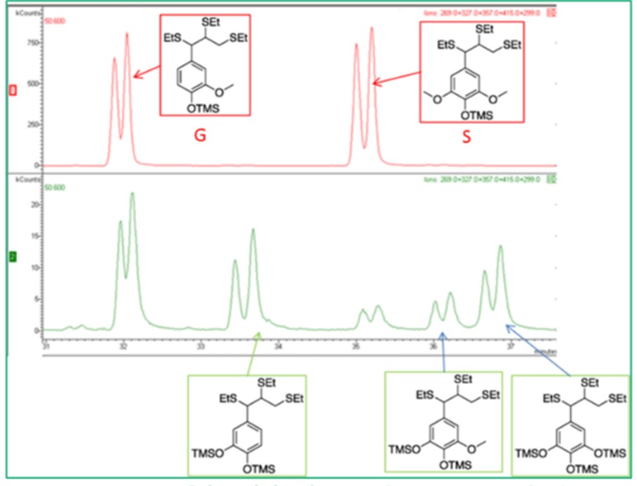 Evidence of lignin demethylation brought by GC-MS 