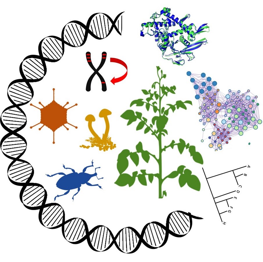 Analyse Génomique des Interactions Plantes-Parasites